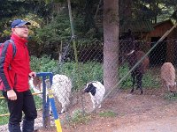 zloty lisc 2017 (17)